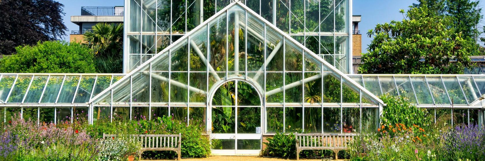 Botanischer Garten der Universität Cambridge